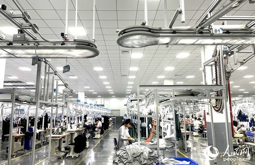 三明產業觀察 一條條 鏈 背后,藏著老區發展何種 脈絡