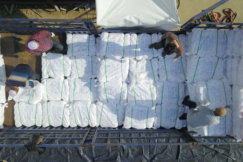 社會(huì) 產(chǎn)自扶貧車間的超千噸滌綸縫紉線遠(yuǎn)銷海外